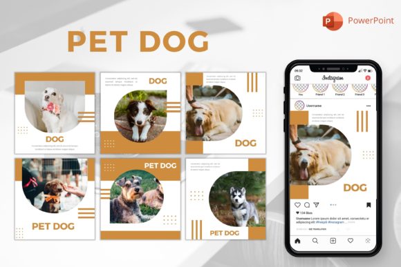 Download Instagram Feed Template - Pet Dog - Premium Resources